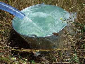 На маленьких ділянках, і якщо доводиться поливати грядки картоплі дощовою водою, якщо її   потрібно носити з водойми, знадобиться зручний для сміття або велика лійка