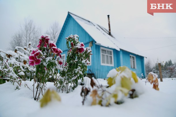 Навесні росіяни активно готуються до дачного сезону: ставлять на підвіконня розсаду, чистять сніг на ділянках