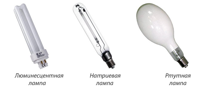 Як джерело штучного освітлення можна використовувати ртутні лампи високого тиску (ДРЛ)