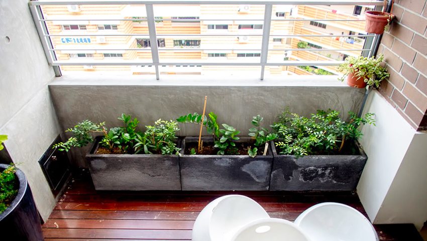 У цей час можна переносити кімнатні рослини на балкон