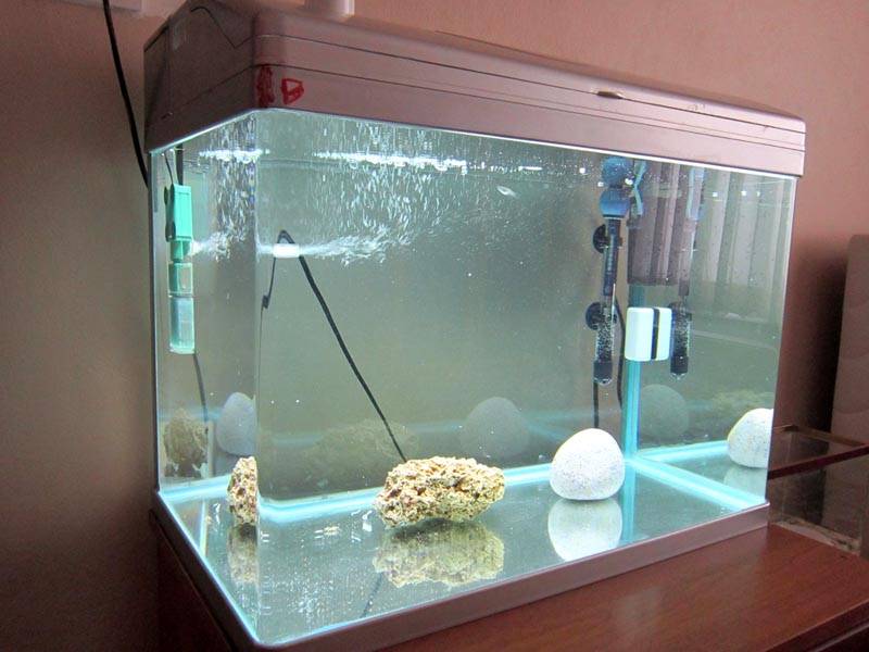 Це пристрій необхідно для створення нормальних умов утримання декоративних рибок, оскільки акваріум являє собою замкнуту водойму і в ньому може спостерігатися нестача кисню